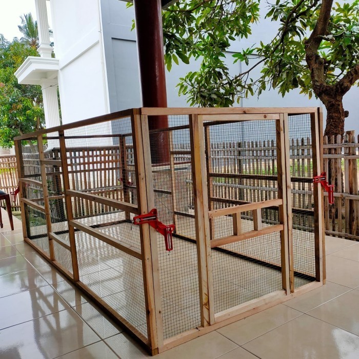 Terlaris Kandang Ayam Bangkok / Jago Umbaran Promo Terbaru