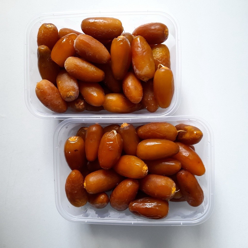 

KURMA MUDA RUTHOB 1KG KURMA RUTHOB LIBYA FRESH FROZEN KURMA RUTHOB KEMASAN 1KG KURMA MUDA 1KG KURMA