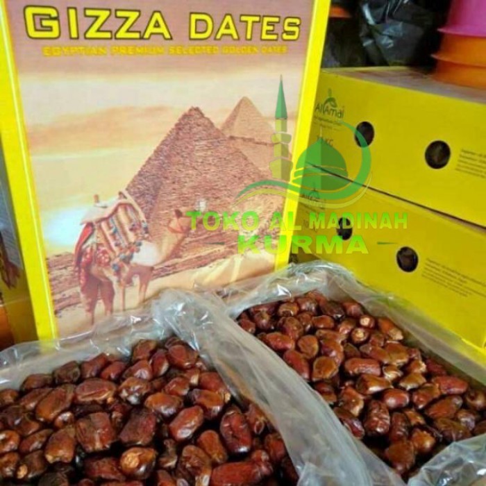 

Kurma - Kurma Mesir Gizza Dates 10Kg / Kurma Mesir Giza 10 Kg Murah