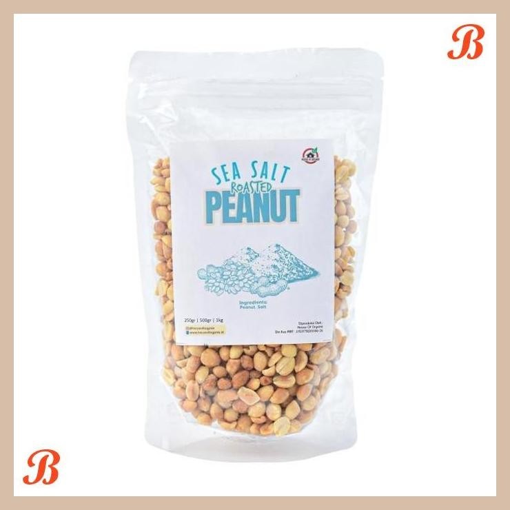 

| HOF | HOUSE OF ORGANIX SEA SALT ROASTED PEANUT 250 GR