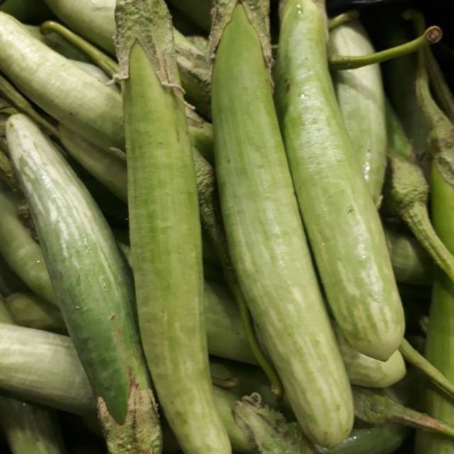 

Terong Telunjuk Medan 1kg JAC