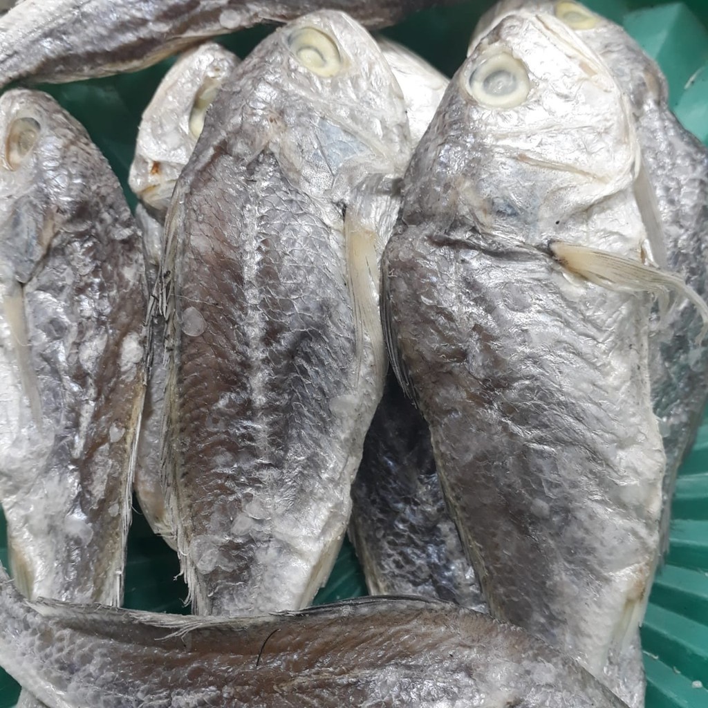 

Ikan Asin Kepala Batu Khas Medan 500gr JAC