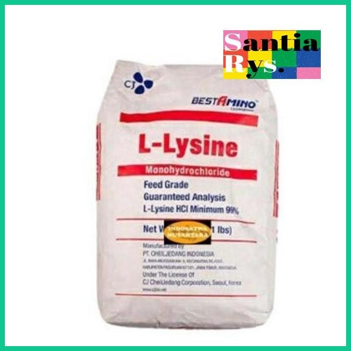 READY LYSINE 1 KG SUPLEMEN VITAMIN KUCING