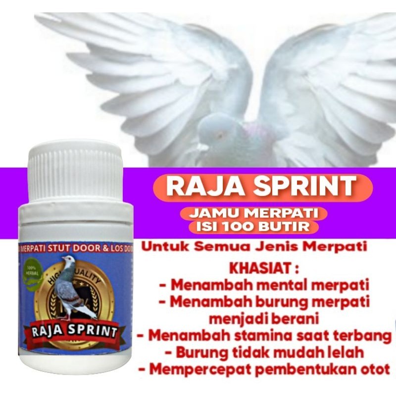 JAMU MERPATI BALAP RAJA SPRINT 60 pil power speed ideal pills tetawan kelenceng ginseng teki rencong