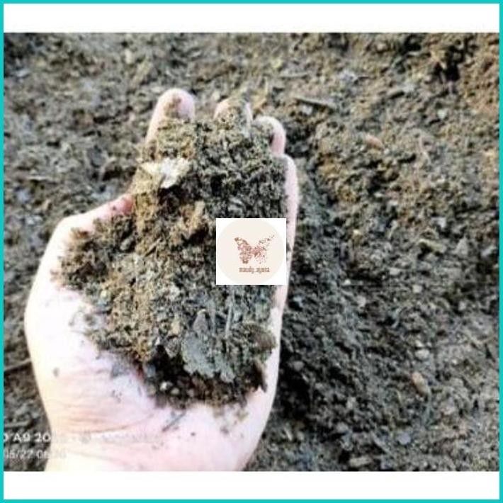 Kompos Daun Trembesi Fermentasi