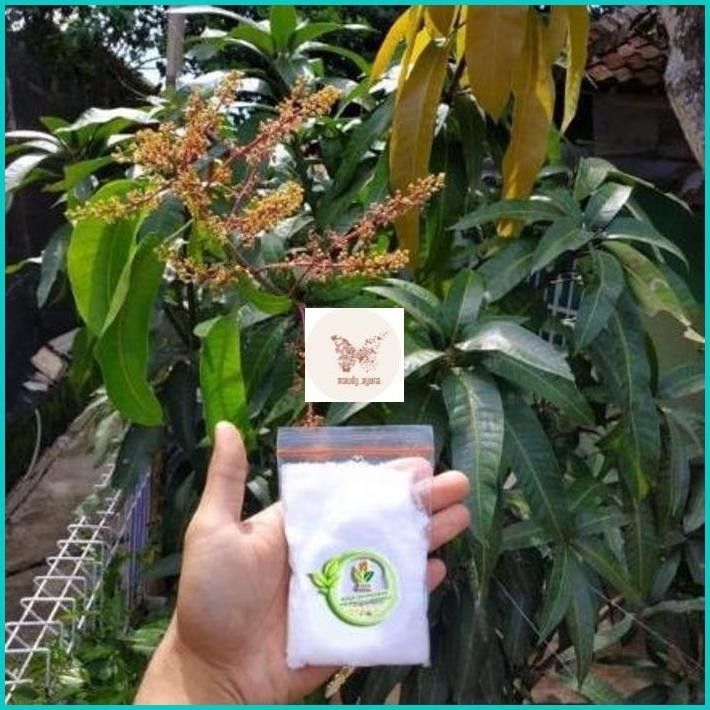 Pupuk Buah Agro isi 100gram
