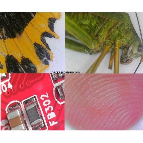 

Usb Digital Microscope 1000X Zoom Mikroskop Magnifier Lensa Pembesar