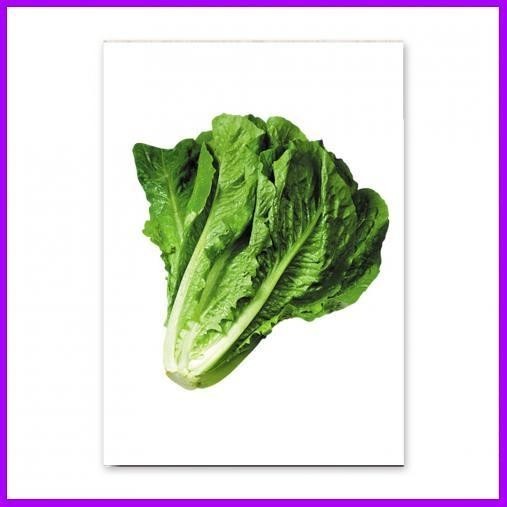 Dinding Buahan Hiasan Buah Rumah Dekorasi Dapur Rumah Hiasan