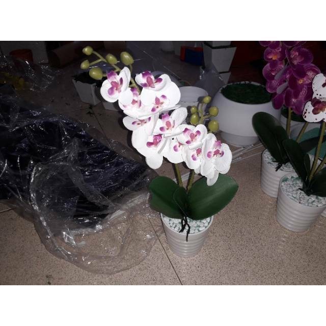 Bunga Anggrek Semi Latex (Bunga + Vas) Bunga Anggrek Bulan Anggrek