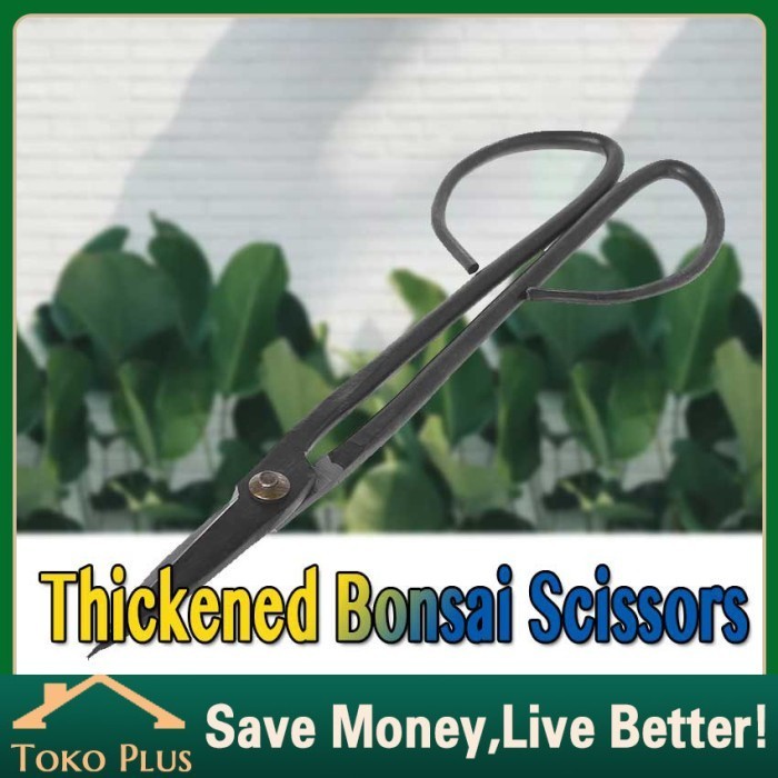 Gagang Panjang Gunting Pemangkas Bonsai Bunga Tanaman Pruning Daun