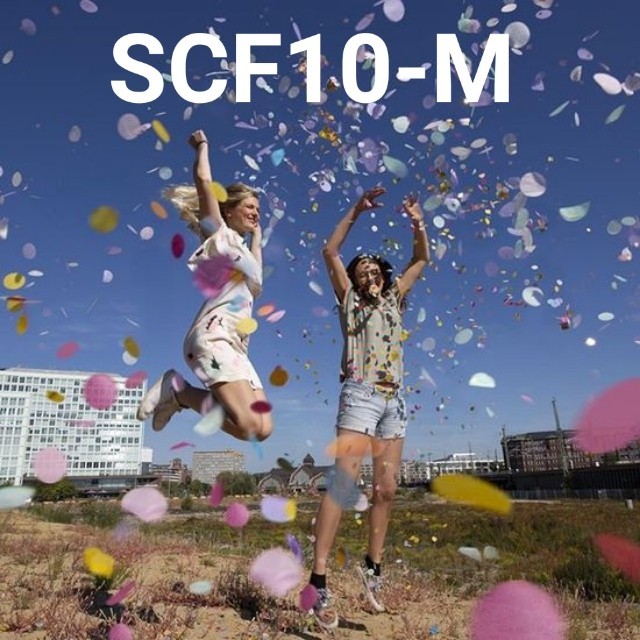 SCF10-M konfetti confetti 1cm 100gr isi balon mix ungu pink putih emas (Lain-Lain) papaya balon