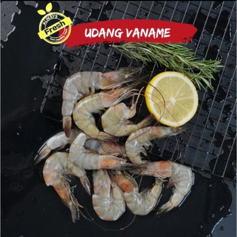 

Udang Vaname