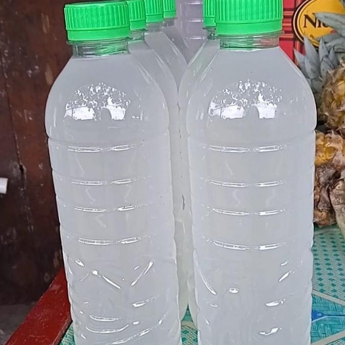 

Terbaru! Air Lontar Legen Siwalan 1500 ml !!