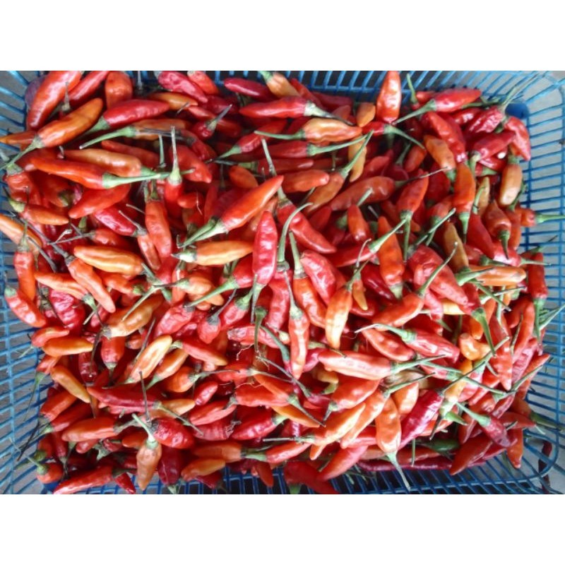 

Cabe Jablay/Cabak