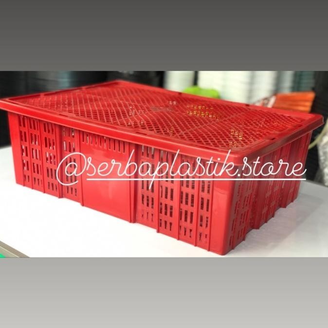 Baru Keranjang buah / keranjang serbaguna / kalo tutup segi warna ,,