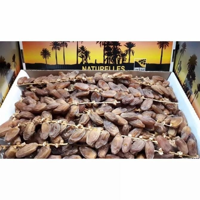 

Kurma Tunisia Tangkai Palm'Frutt