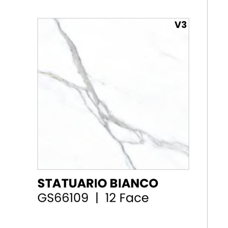 GRANIT STATUARIO BIANCO GS66109 UKURAN 60X60 BY SUNPOWER