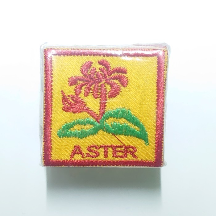 

Badge Regu Aster
