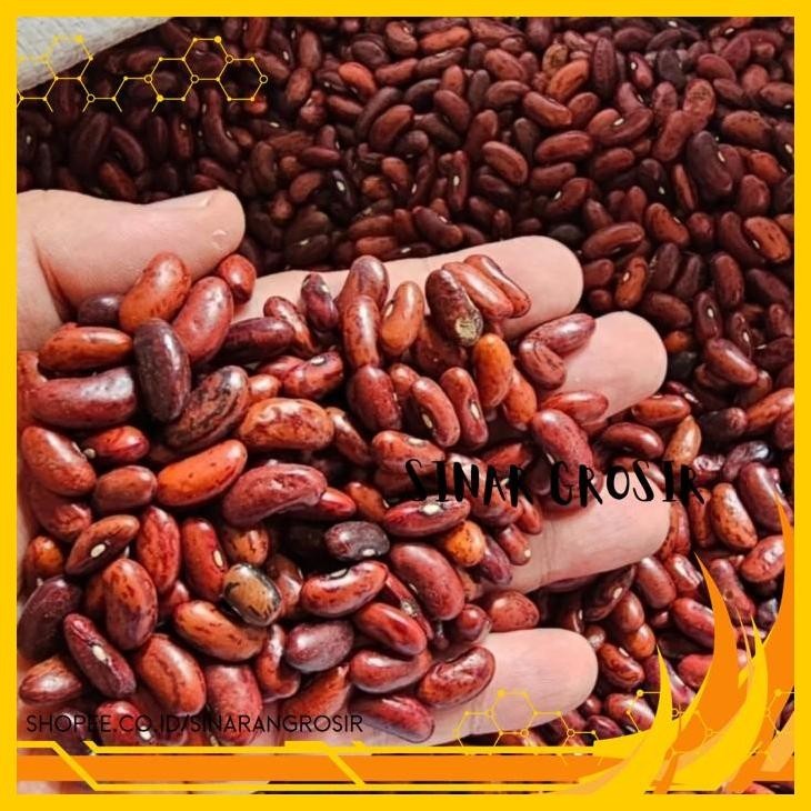 

KACANG MERAH ORGANIK 500GR KUALITAS BAGUS KUALITAS SUPER