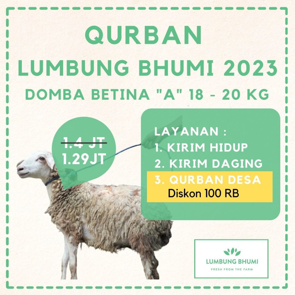 

Lumbung Bhumi - Qurban / Kurban Qurban Desa Domba Tanduk -Gratisongkir
