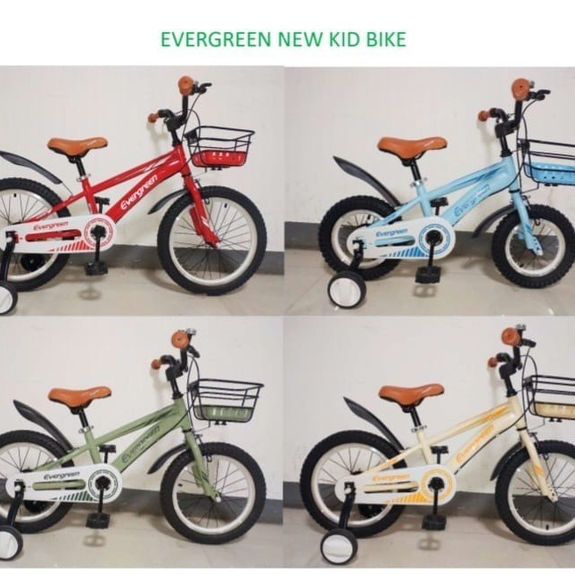 Sepeda Anak Evergreen E D-23 Keranjang Ve Alloy