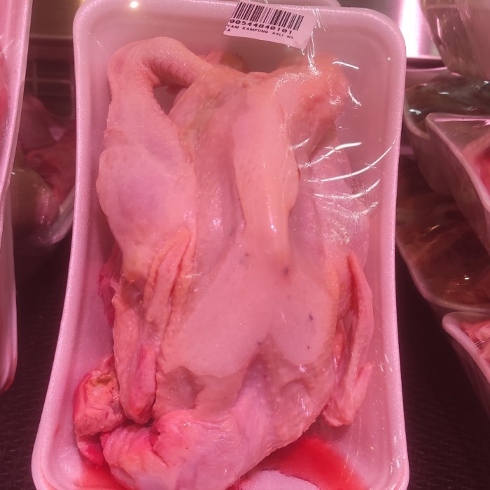 

,,,,,,,] AYAM KAMPUNG ASLI/PCS