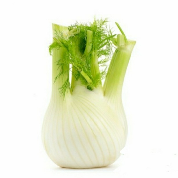 

Fennel Australia Fresh 1kg