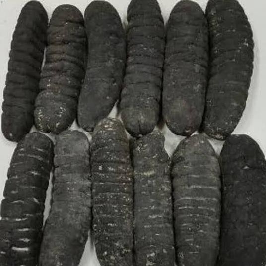

Haisom Kering Teripang ASLI Belitung 1kg isi 40 / Lintah Laut Hoisem MS54