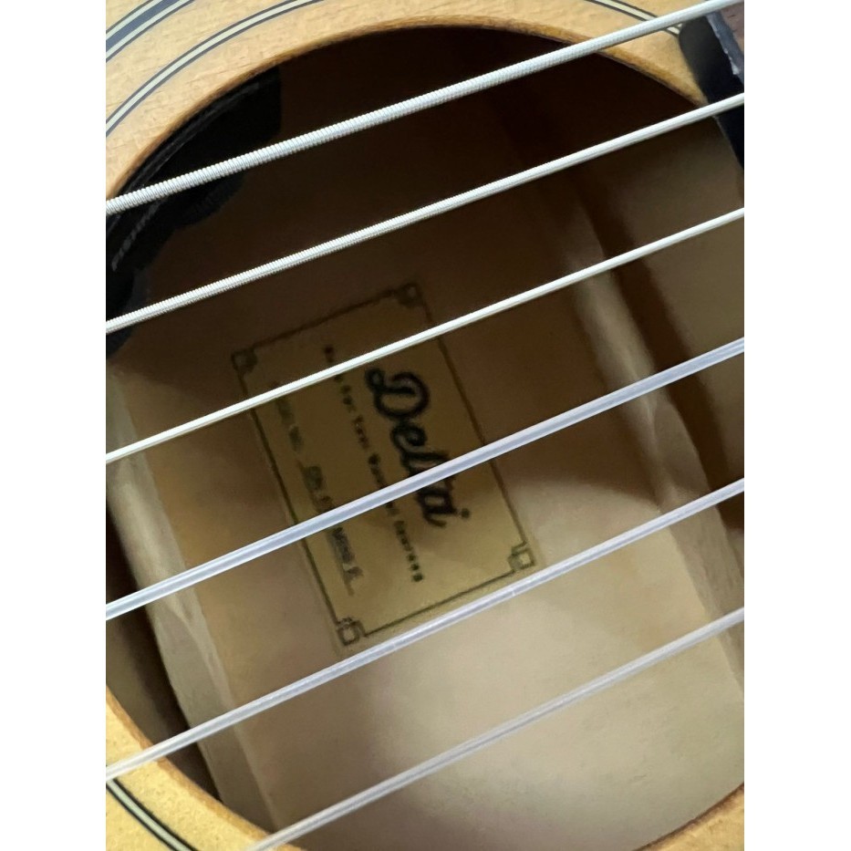 Delta Dn100 Mini - Classic Electric Nylon 3/4 - Fishman Sonitone