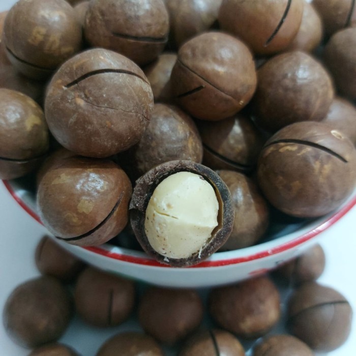 

Kacang Macadaa Kulit Matang Panggang/Oven 500Gram