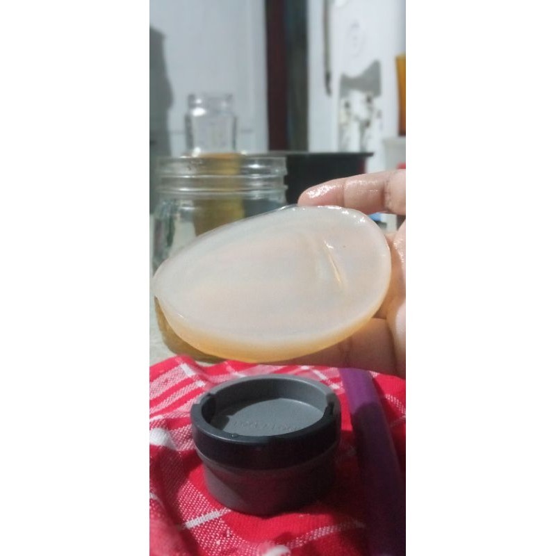 

bibit kombucha/jamur teh/scooby diameter 10cm starter 100ml