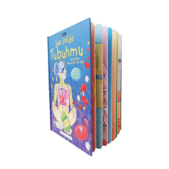 Buku See Inside Tubuhmu Terjemahan Orne Bahasa Indonesia Erlangga