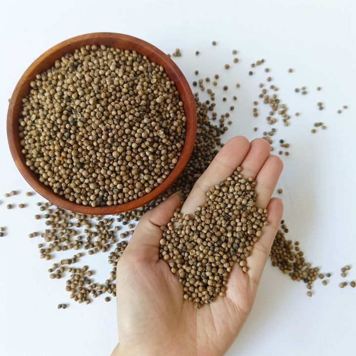 

Seed Center Ketumbar Hitam (1000 Gram)