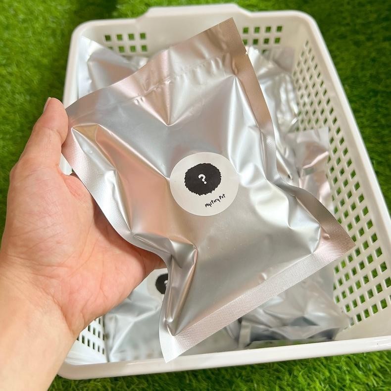 Or42 Jimo Mystery Pet-Blind Box - Anxiety BuddyToys Termurah