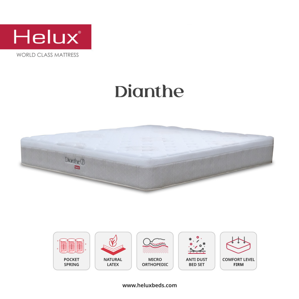 Kasur Tempat Tidur Latex Springbed Orthopedic Helux Dianthe