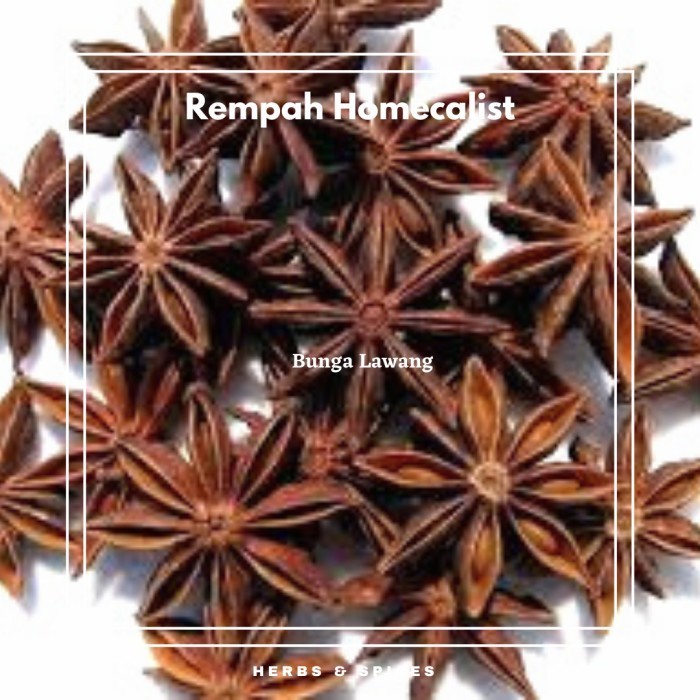 

CG364 Bunga Lawang Pekak 100 Gram Bumbu & Bahan Masakan OBRAL