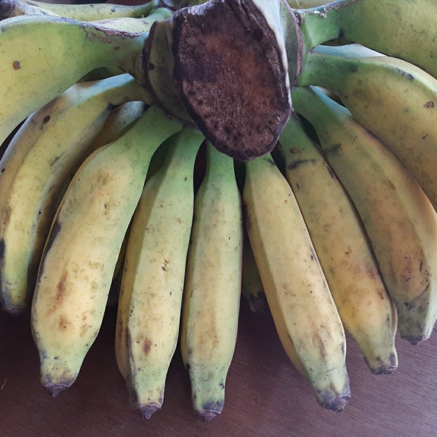 

Pisang Raja Bulu