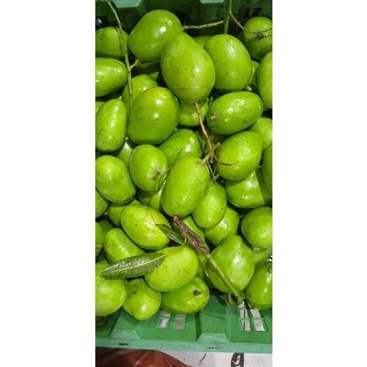 

Mangga Jamson /Mangga Belah Biji / Mangga Muda / Mangga Rujak / Mangga Mengkal / Mangga Tua / Mangga Asam / Mangga Garing