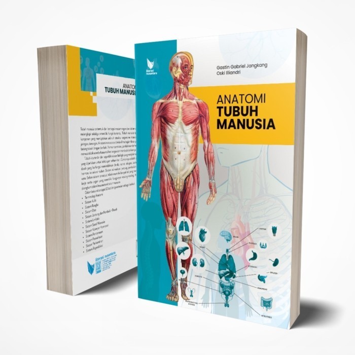 

BUKU ANATOMI TUBUH MANUSIA TINGKAT DASAR ORIGINAL