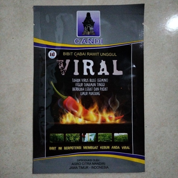 SALEE Bibit Cabe Rawit Viral 10gr - Benih Cabai Viral Crm kaliber ori 212 Bes