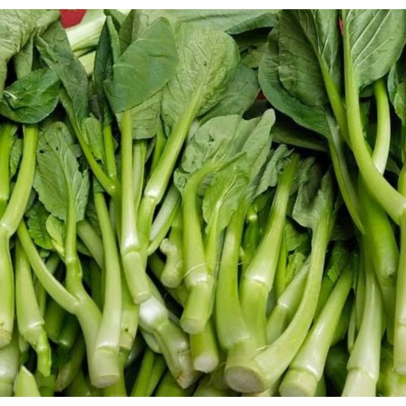 

Sawi hijau segar 1 ikat/ sawi hijau caisim ( Bebas pestisida)