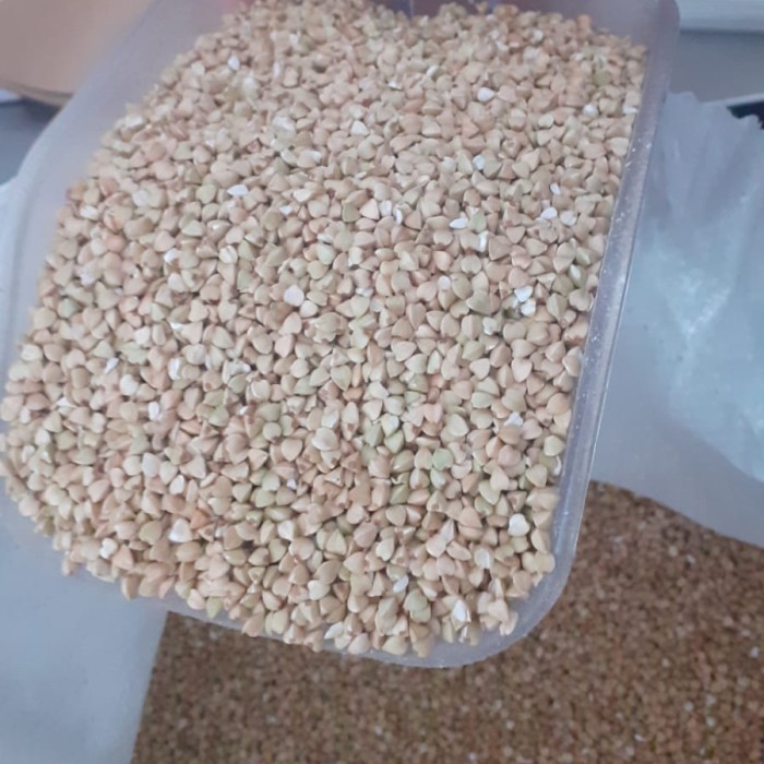 

BERMUTU Buckwheat seeds green buckwheat 1kg