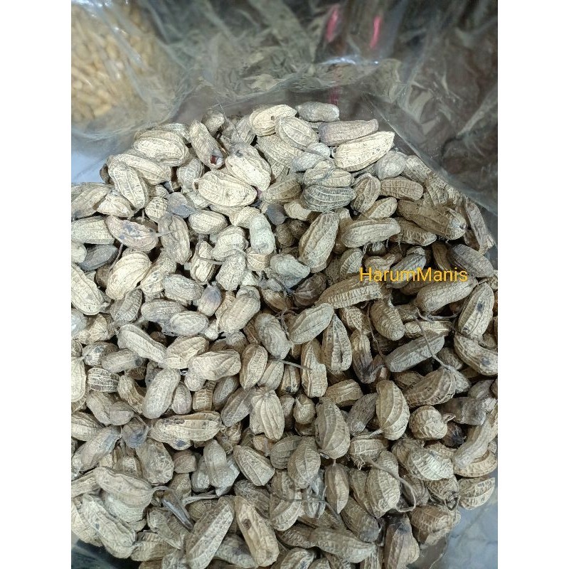 

Kacangkulitsangrai//kacangtanah