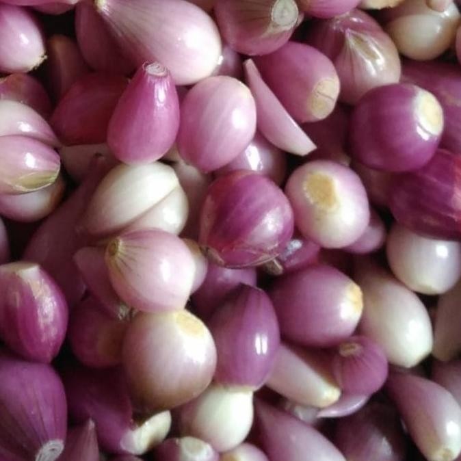 

bawang merah kupas super