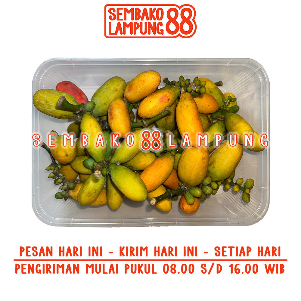 

Tangkil / Melinjo 250 Gr | Sembako Lampung 88