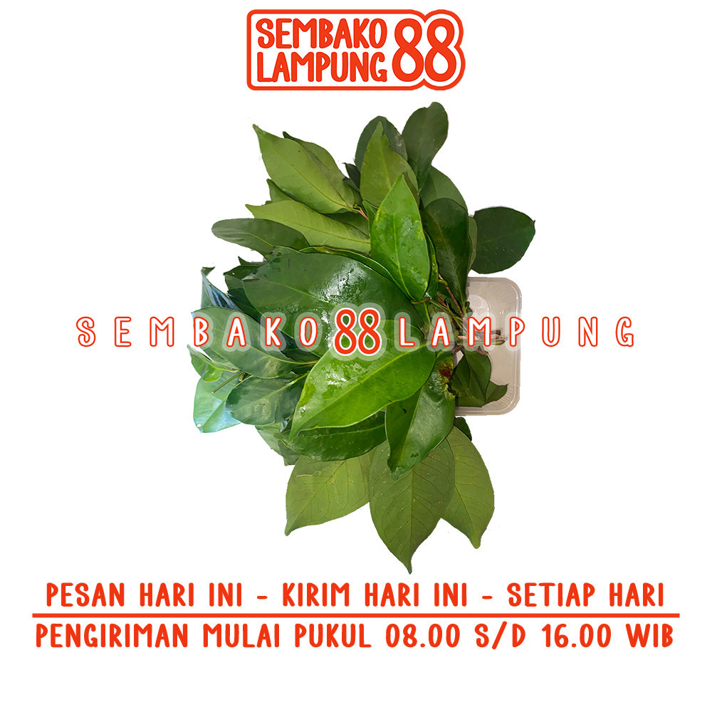 

Daun Salam 50 Gr | Sembako Lampung 88