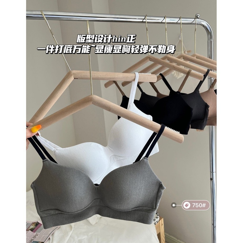 B317 SF BRA Push Up Bra Wanita  BH Busa Tipis Tanpa Kawat Motif Polos Bahan Nilon dan Spandex Pakaia