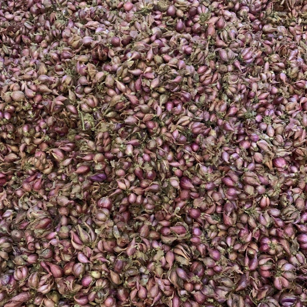 

Bawang Merah Kecil ( 1 Kg ) Asli Nganjuk Danilla