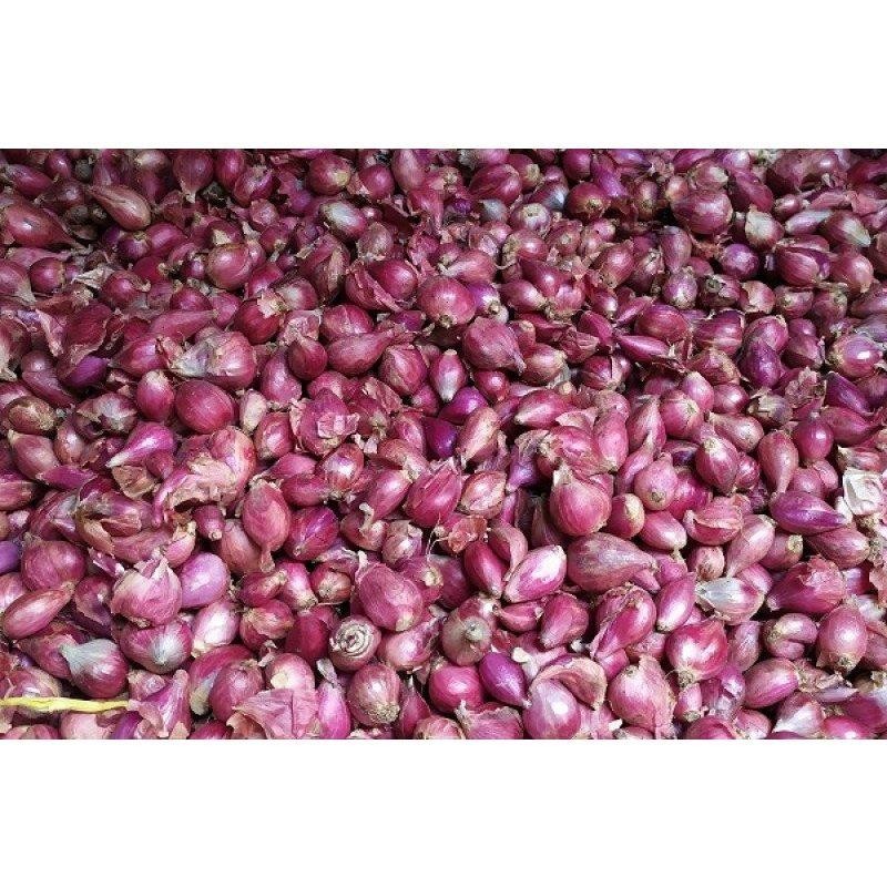 

Bawang Merah Besar 500 Gr Berkwalitas Super Srikandi