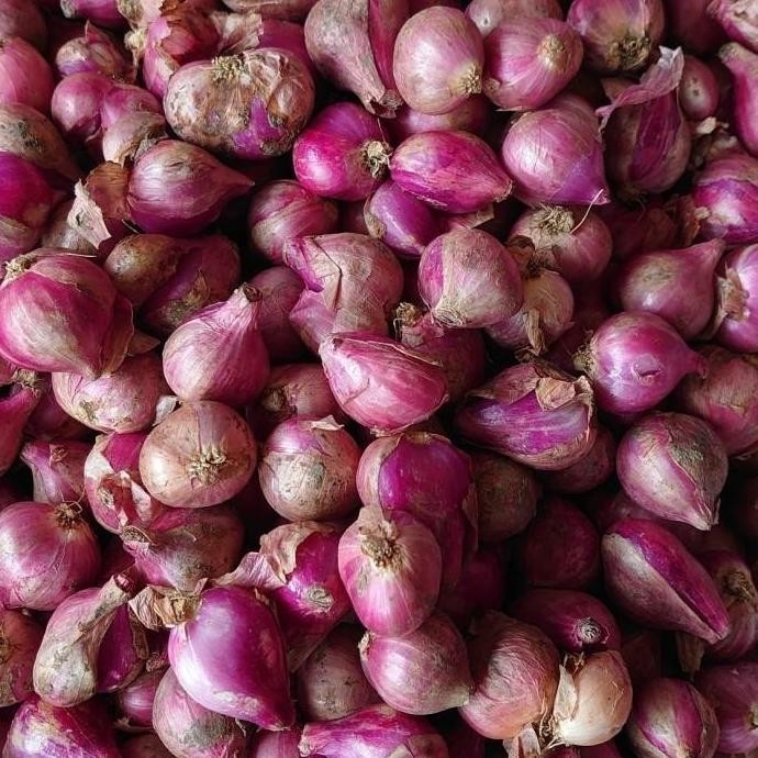 

TERMURAH Bawang Merah Sedang 1 Kg Berkwalitas Kering - Shuffel BAGUS